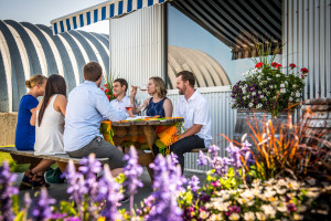 Picnic On The Patio