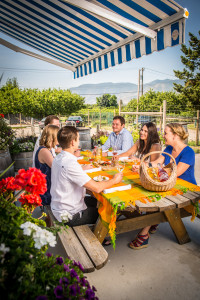 Picnic On The Patio