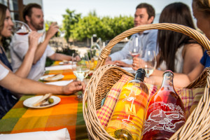 Picnic On The Patio